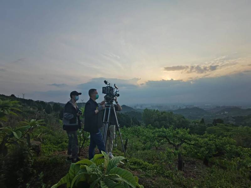 创意破圈！青山湖区电商产品宣传视频用故事化叙事引爆流量