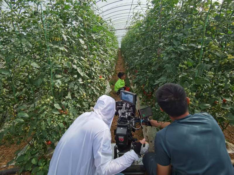 青山湖区产品宣传视频拍摄公司进阶指南，助力品牌抢占传播高地